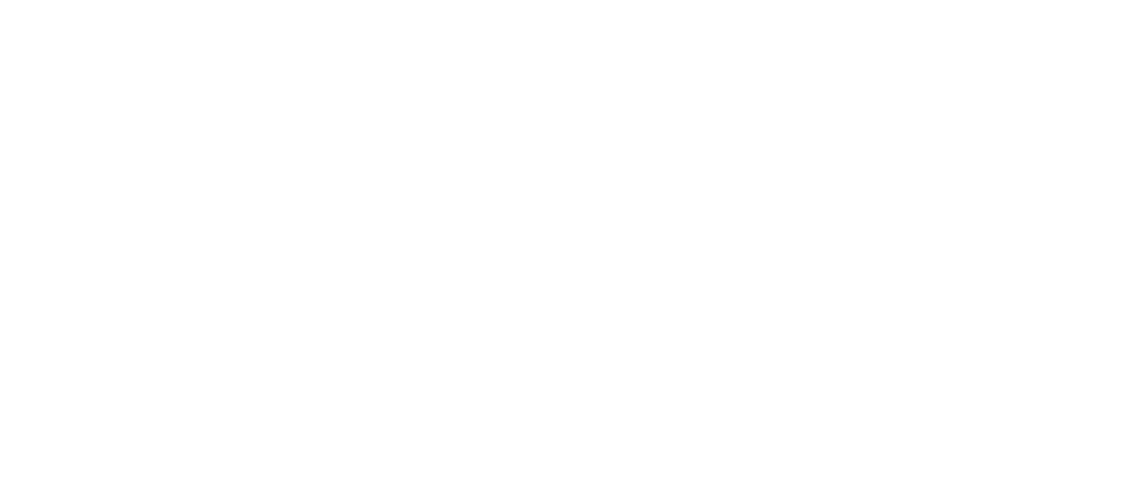 NileTrace